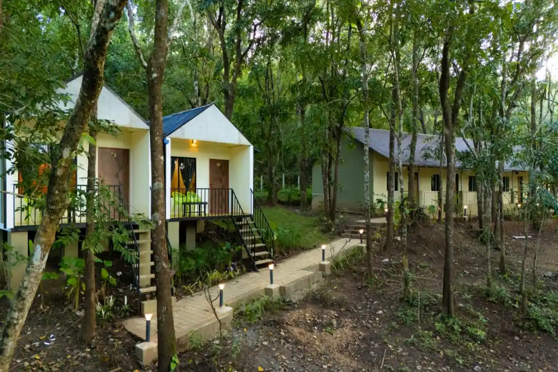 Forest cottages during daytime at Rain Forest Resort surrounded by greenery