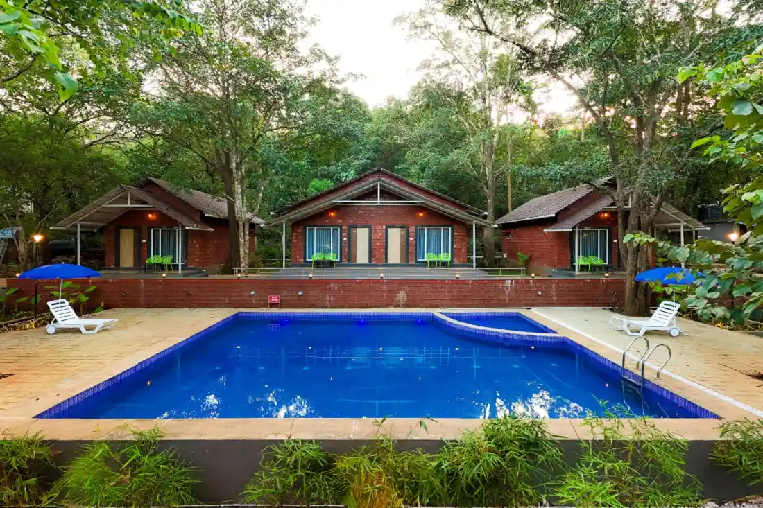Front view of swimming pool at Rain Forest Resort Dandeli with cottages and greenery