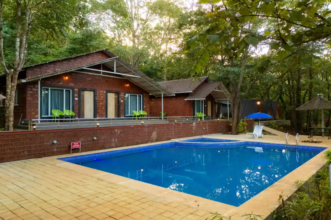 Swimming pool surrounded by cottages at Rain Forest Resort near Ganeshgudi Dandeli