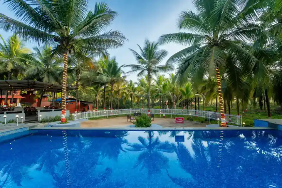 Outdoor swimming pool with sun deck at Wild Mist Jungle Stay Dandeli during daytime